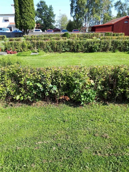 Gravnummer: NK F G   252