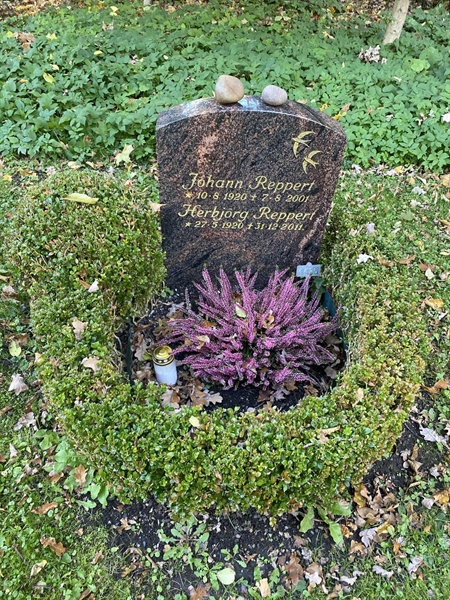 Hautatunnus: 1 H   496