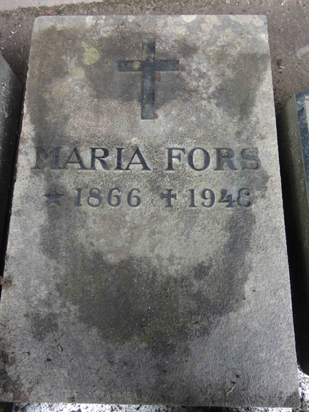 Grave number: 1 F   541