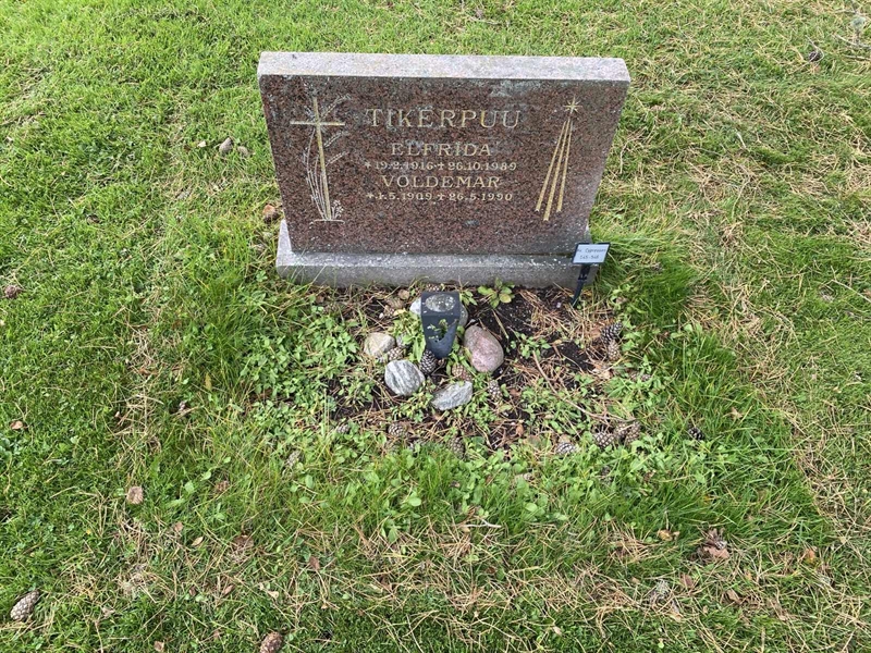 Hautatunnus: 2 C   545-546