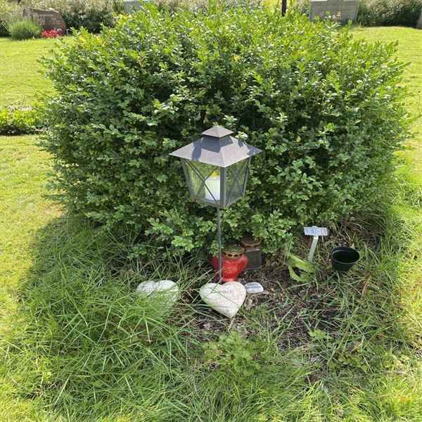 Hautatunnus: 1 T   136