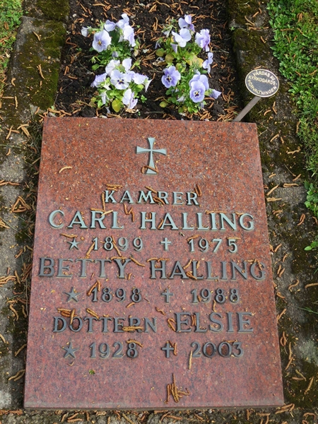 Grave number: HÖB N.UR    21