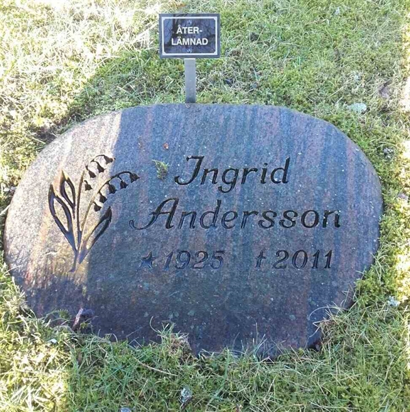 Grave number: HG MÅSEN   508