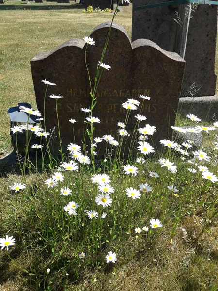 Grave number: TÖ 4   136