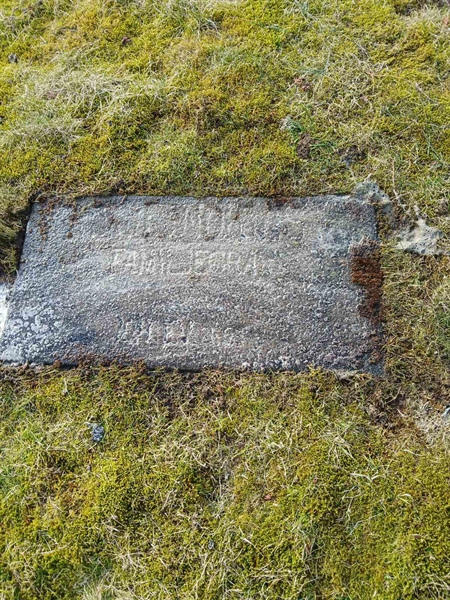 Gravnummer: 2 8  266, 267, 268