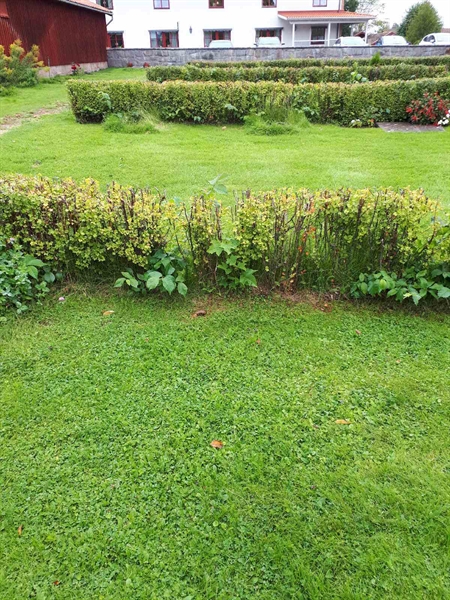 Hautatunnus: NK F G   157