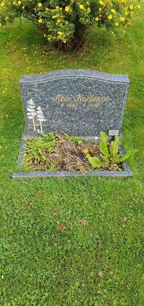 Grave number: Jä 12   165