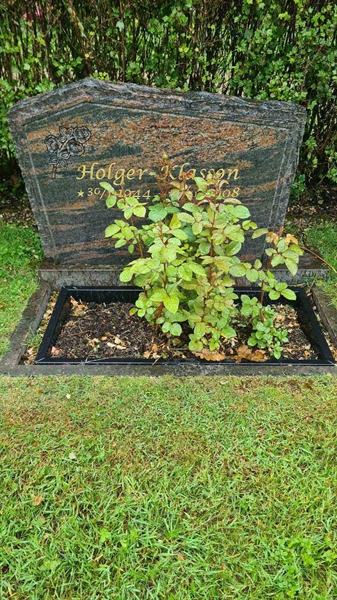 Hautatunnus: M N 24 28