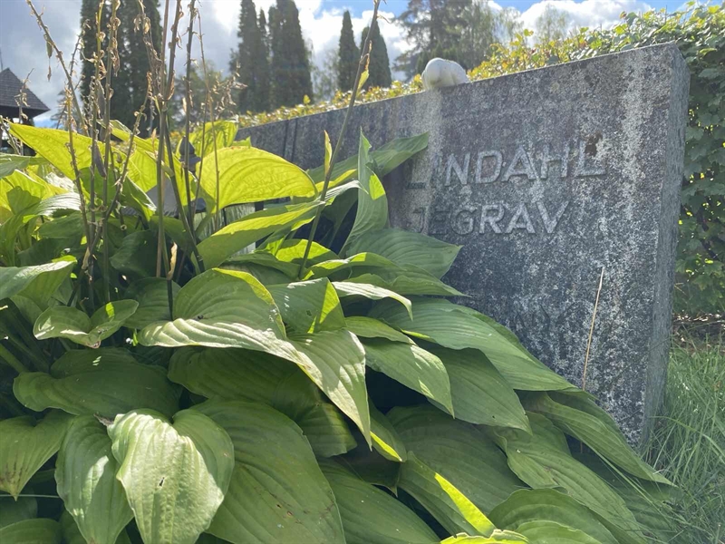 Grave number: 1 17 37, 38