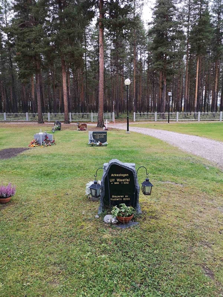 Hautatunnus: VLM 12    41