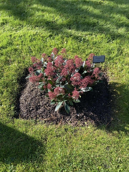 Grave number: 2 H   173