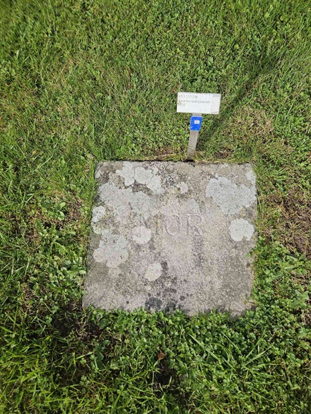 Hautatunnus: Fr 5   337-338