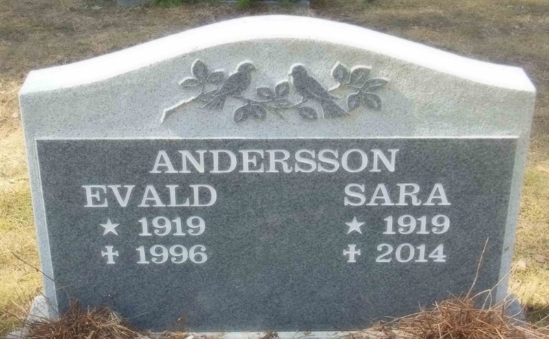 Grave number: 3 02    24