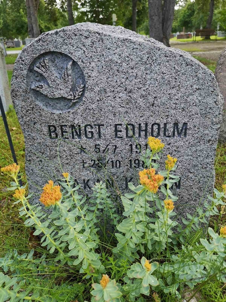 Hautatunnus: NK 13    22