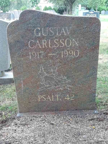 Grave number: M N 19    46