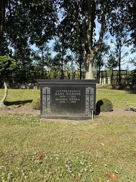 Hautatunnus: TR 1 1 30