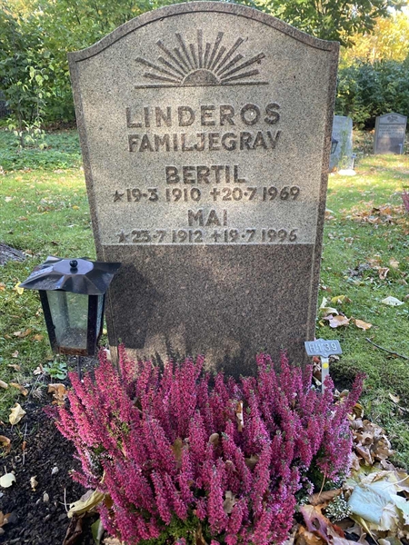 Gravnummer: 1 H   139