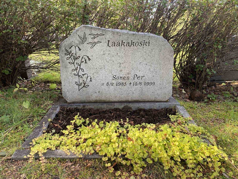 Grave number: 3 16   508