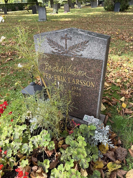 Grave number: 1 NA   462
