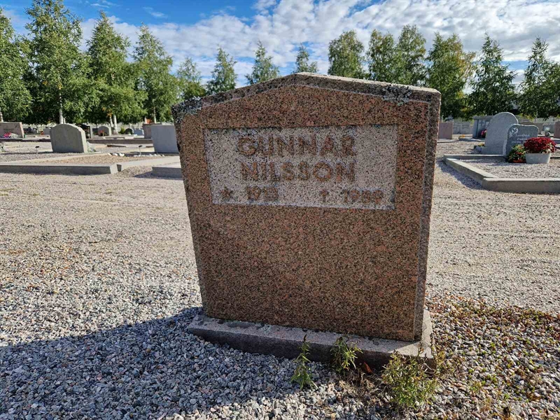 Hautatunnus: 2 07   218