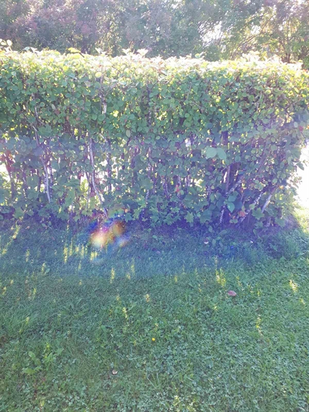 Grave number: NK F G   284