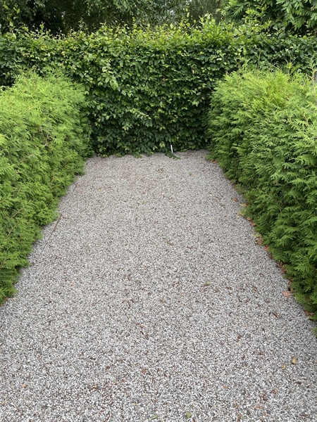 Grave number: NK II     3