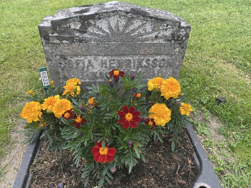 Grave number: 001 1 6  6822