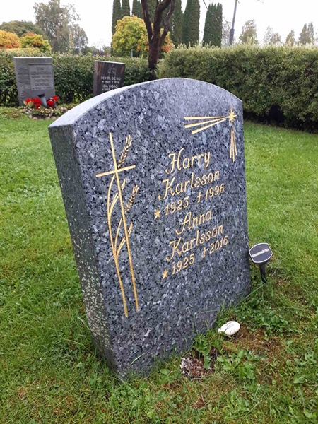 Hautatunnus: NK F D   220