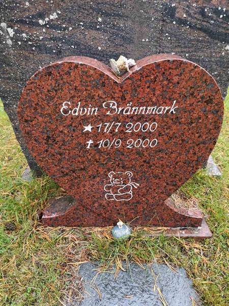 Hautatunnus: VLM 13    50-51