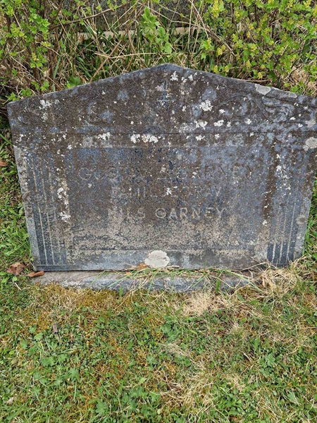 Grave number: 501 07 877-879