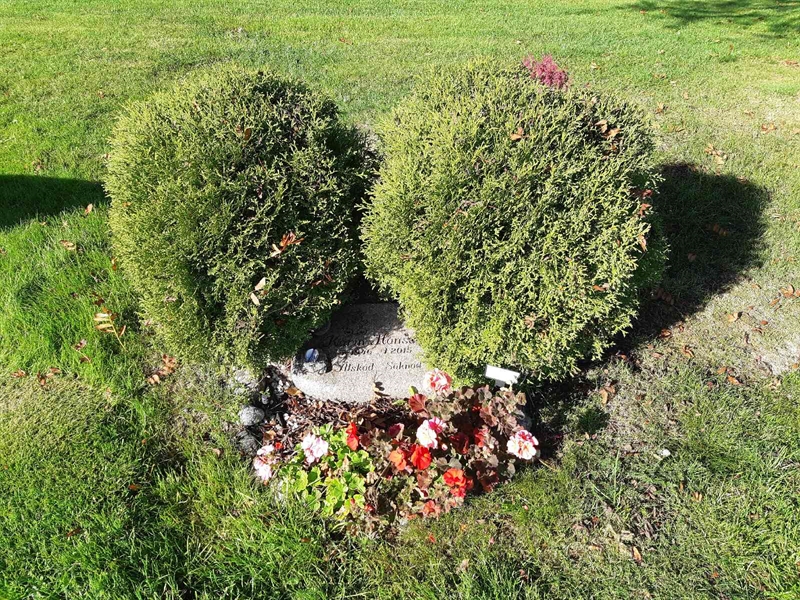 Hautatunnus: Fr 8   111