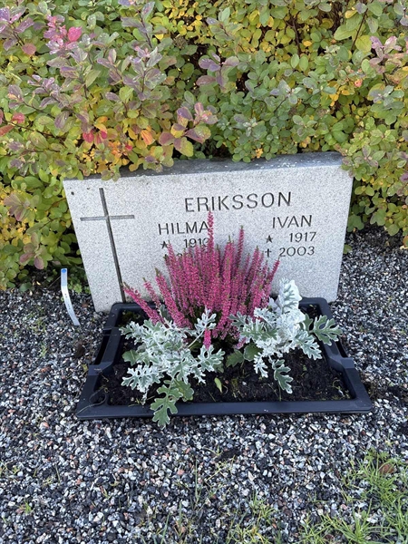 Grave number: 4 N NB   224