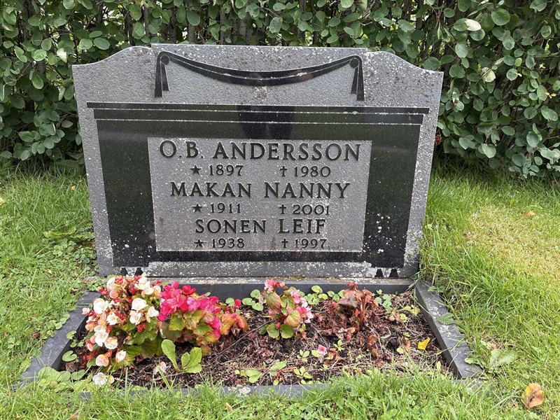 Grave number: SÄ MEL  1017
