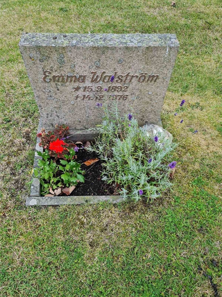 Grave number: F 04   263