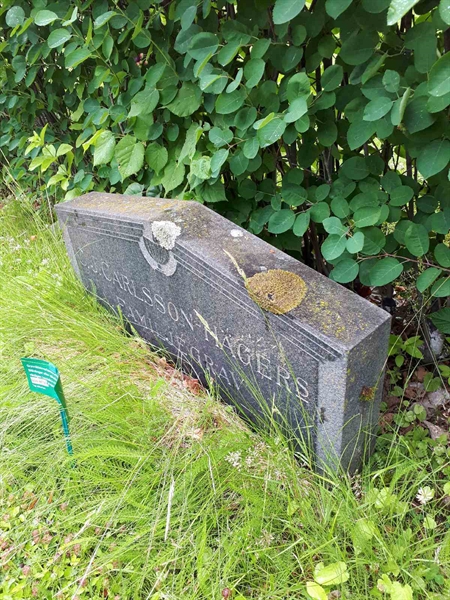 Gravnummer: GK F 5   404