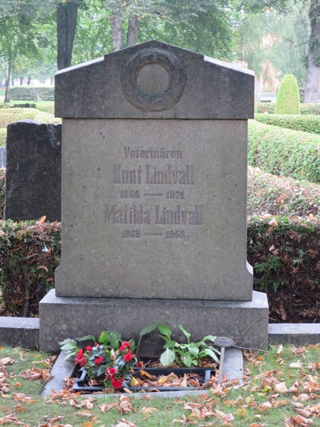 Grave number: HÖB 8   222