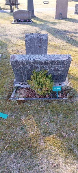 Gravnummer: 3 Nya F    78