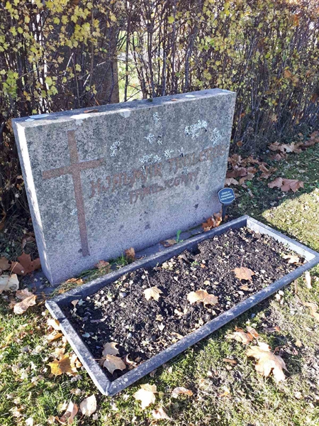 Grave number: GK F 1   294B