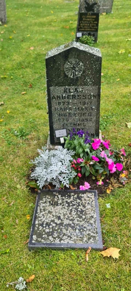 Grave number: M V  181, 182