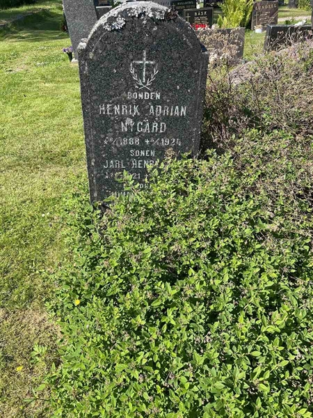 Grave number: N 5 1    44