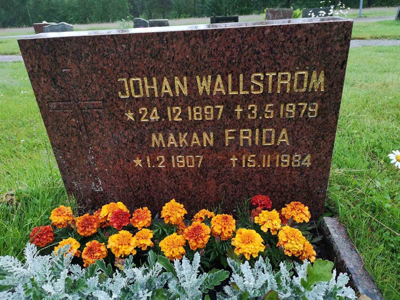 Hautatunnus: NK 11    25