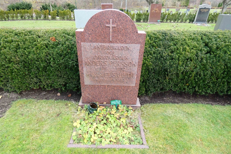 Grave number: TR 3   137