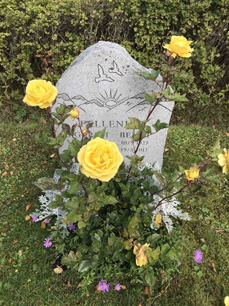 Grave number: ÅR U1     7