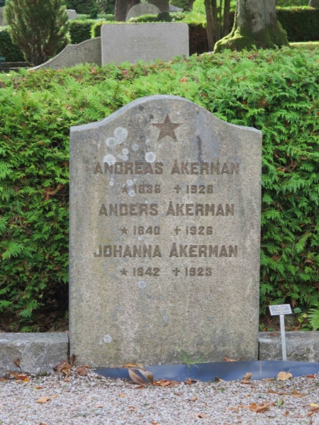 Grave number: HÖB 5   124