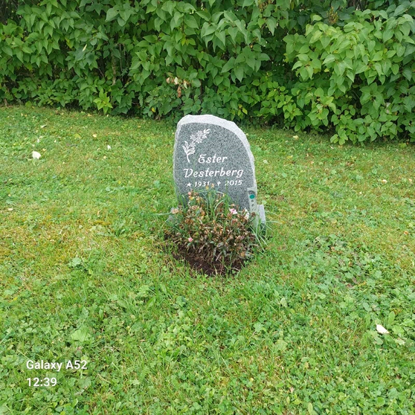 Grave number: N K    24
