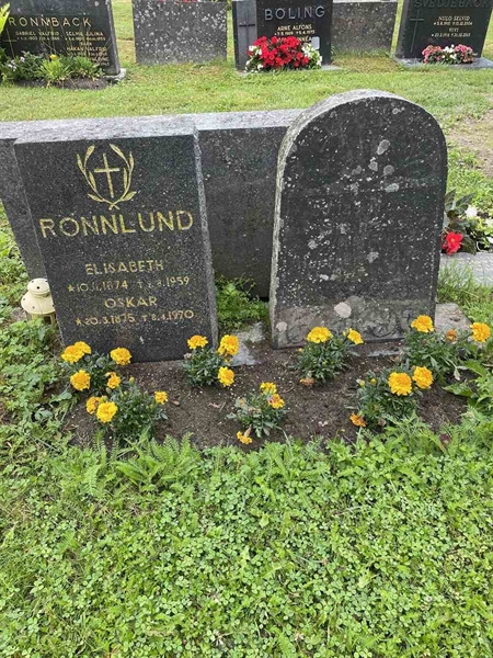 Hautatunnus: N 4 4   585b