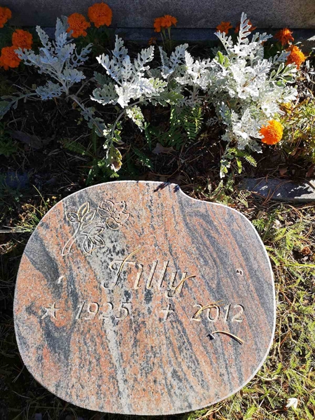 Hautatunnus: VLM 01    12-13