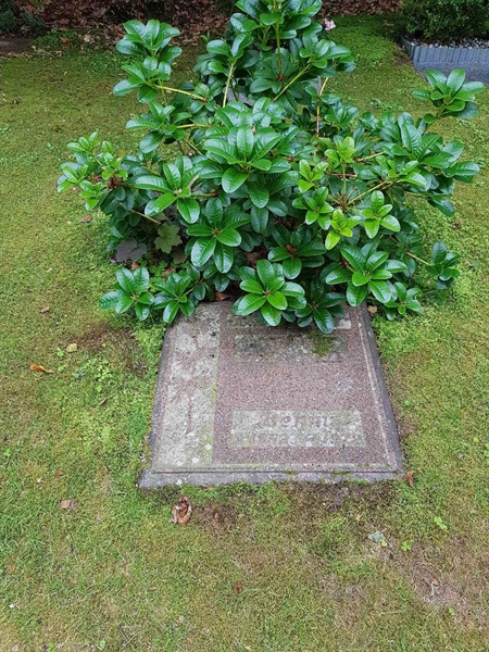 Grave number: 01  2517