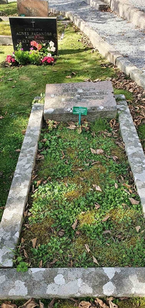 Grave number: SG 02   295