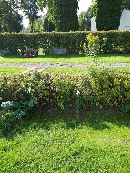 Hautatunnus: NK F G   178